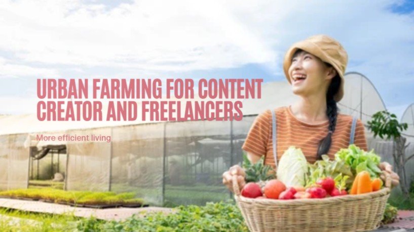Urban Farming untuk Content Creator Freelancer: Hemat, Sehat, dan Lebih Independen